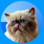 https://token-media.defined.fi/8453_0xb1a03eda10342529bbf8eb700a06c60441fef25d_thumb_7e1eeb338374.png